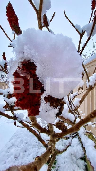 Casa de vânzare 7 camere Borhanci - 189375CV | BLITZ Cluj-Napoca | Poza22
