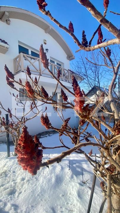 Casa de vânzare 7 camere Borhanci - 189375CV | BLITZ Cluj-Napoca | Poza25