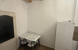 Garsonieră 28 mp, prima închiriere, singur în curte cu terasă