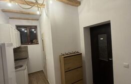 Garsonieră 28 mp, prima închiriere, singur în curte cu terasă