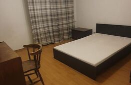 Garsoniera, pet friendly, zona Titulescu
