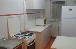 Garsoniera, pet friendly, zona Titulescu