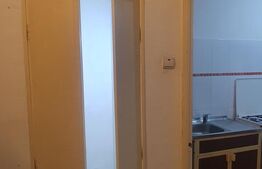 Garsoniera, pet friendly, zona Titulescu