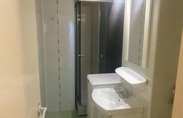 Garsoniera, pet friendly, zona Titulescu