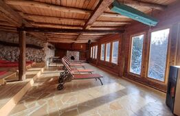 Complex turistic eco-integrat – Predeal (Trei Brazi)