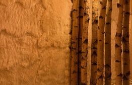 Complex turistic eco-integrat – Predeal (Trei Brazi)