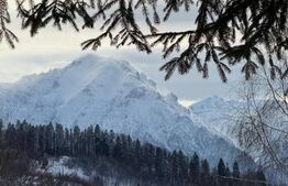 Complex turistic eco-integrat – Predeal (Trei Brazi)