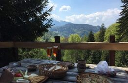 Complex turistic eco-integrat – Predeal (Trei Brazi)