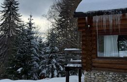 Complex turistic eco-integrat – Predeal (Trei Brazi)