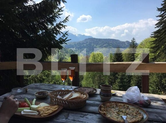 Spațiu comercial de vânzare Predeal - 189431SVC | BLITZ Brașov | Poza13