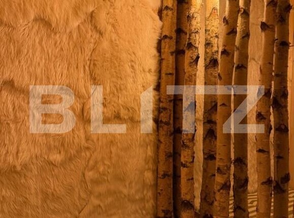 Spațiu comercial de vânzare Predeal - 189431SVC | BLITZ Brașov | Poza5