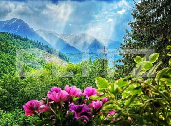 Spațiu comercial de vânzare Predeal - 189431SVC | BLITZ Brașov | Poza12