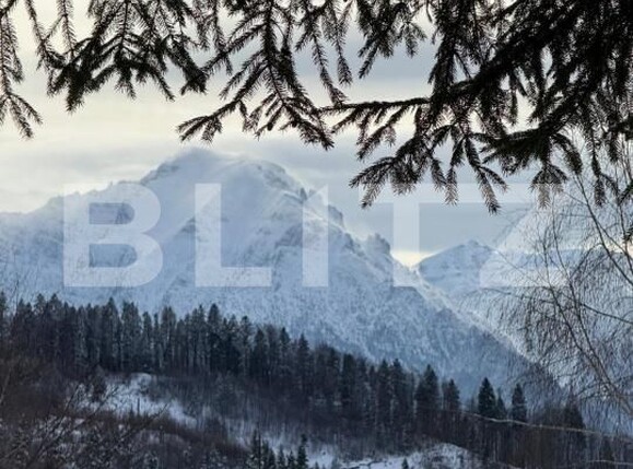 Spațiu comercial de vânzare Predeal - 189431SVC | BLITZ Brașov | Poza9