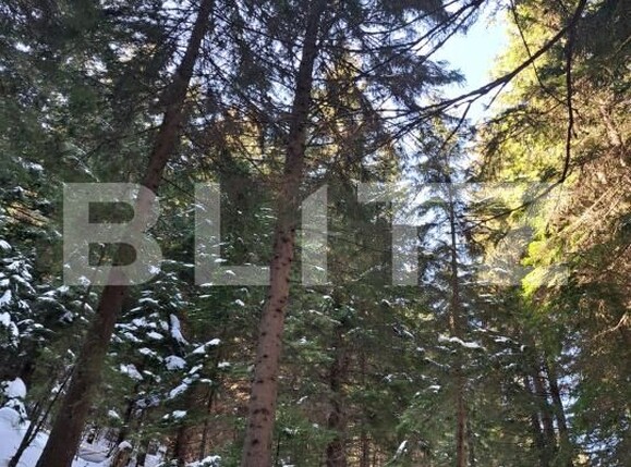 Spațiu comercial de vânzare Predeal - 189431SVC | BLITZ Brașov | Poza8