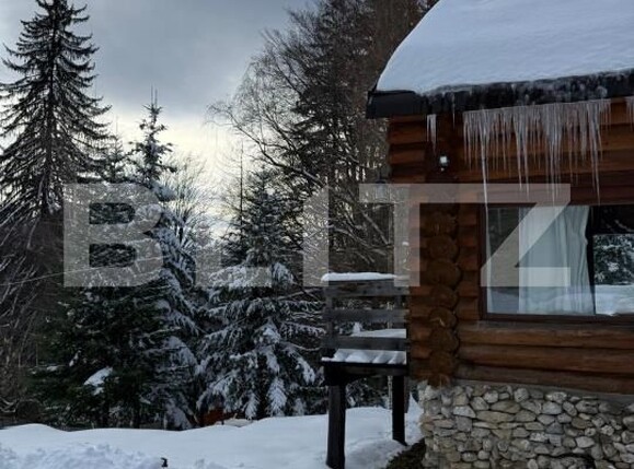 Spațiu comercial de vânzare Predeal - 189431SVC | BLITZ Brașov | Poza2