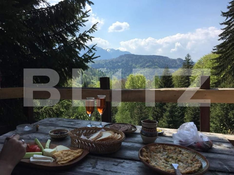 Spațiu comercial de vânzare Predeal - 189431SVC | BLITZ Brașov | Poza13