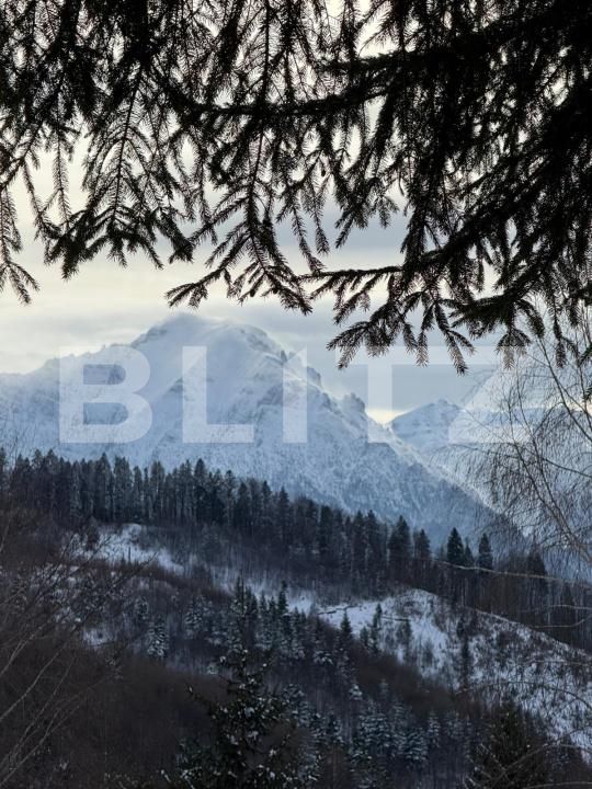 Spațiu comercial de vânzare Predeal - 189431SVC | BLITZ Brașov | Poza11