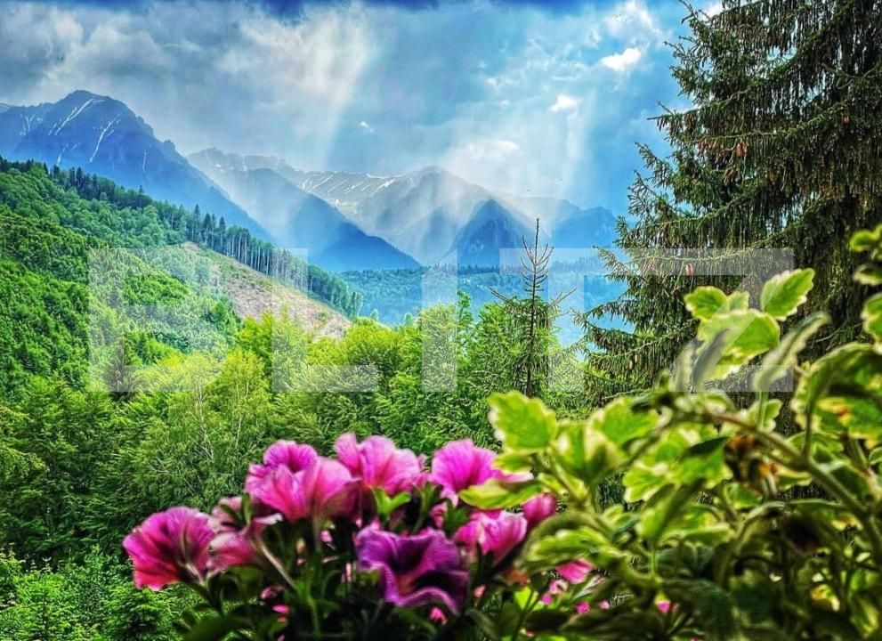 Spațiu comercial de vânzare Predeal - 189431SVC | BLITZ Brașov | Poza12