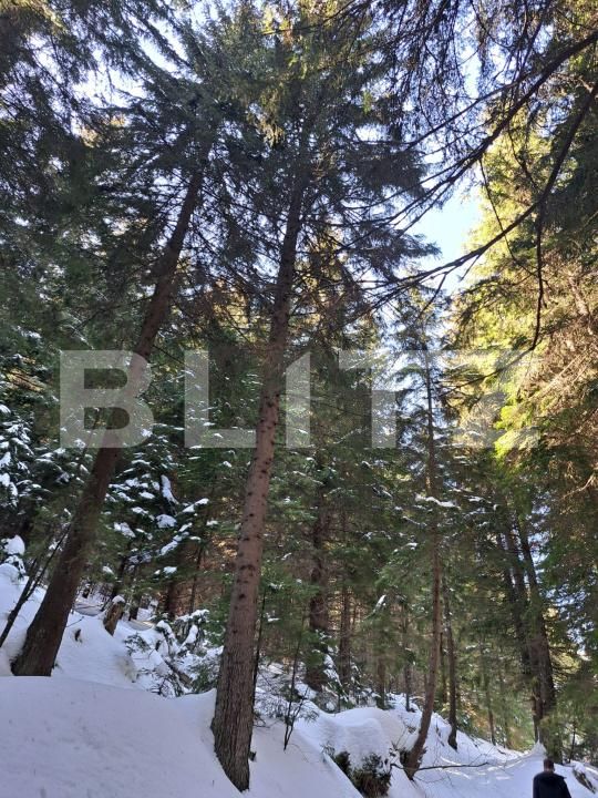 Spațiu comercial de vânzare Predeal - 189431SVC | BLITZ Brașov | Poza8