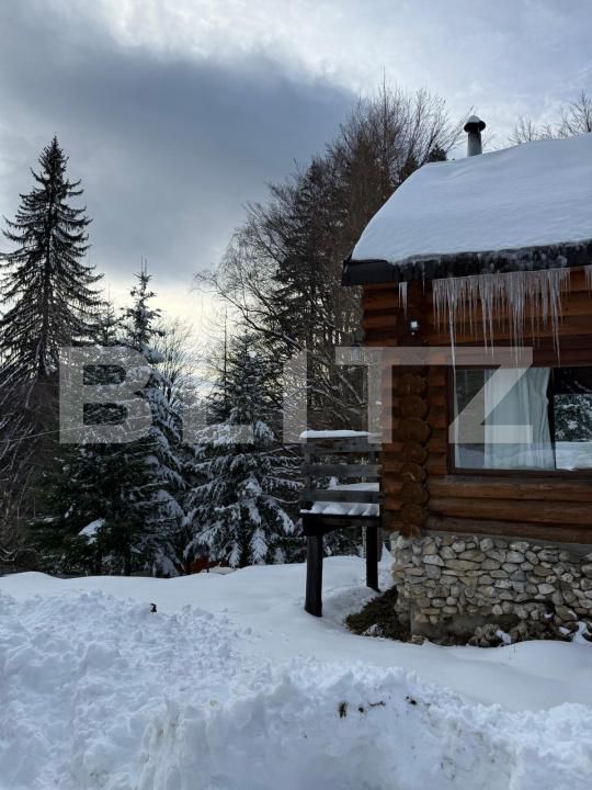 Spațiu comercial de vânzare Predeal - 189431SVC | BLITZ Brașov | Poza2