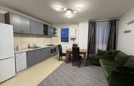 Apartament 2 camere, modern, pet friendly, zona Calea Turzii