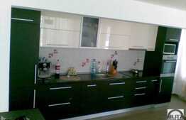 Casa individuala 240 mp totali utili, mobilata utilata! Conditii moderne!