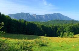 Teren intravilan - Trei Brazi, Predeal