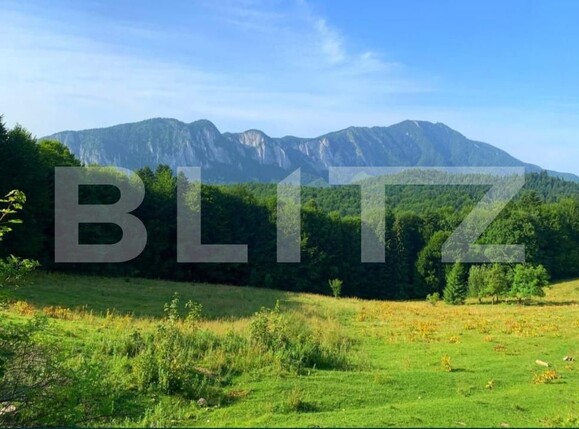 Teren de vânzare Predeal - 189453TV | BLITZ Brașov | Poza1
