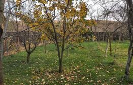 Oportunitate!! Casa deosebita 