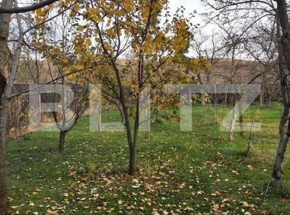 Casa de vânzare 6 camere Zizin - 189517CV | BLITZ Brașov | Poza4