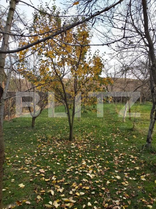 Casa de vânzare 6 camere Zizin - 189517CV | BLITZ Brașov | Poza4
