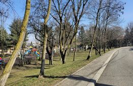 Andrei Muresanu, 570mp, front 20m, zona superba, vis a vis de parc