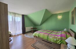 Vila ideala pentru locuința, clinica sau birouri!