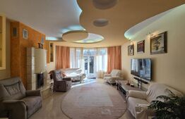 Vila ideala pentru locuința, clinica sau birouri!