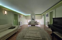 Vila ideala pentru locuința, clinica sau birouri!