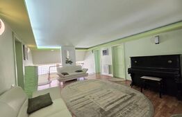 Vila ideala pentru locuința, clinica sau birouri!