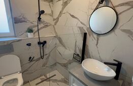 Casa de inchiriat, 4 camere, 110 mp - Andrei Muresanu