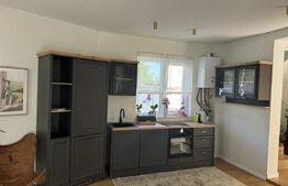 Casa de inchiriat, 4 camere, 110 mp - Andrei Muresanu