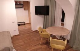 Studio cochet ultracentral - centrul istoric - mobilat și utilat