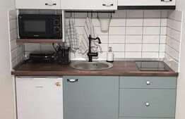 Studio cochet ultracentral - centrul istoric - mobilat și utilat