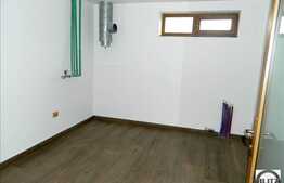 Vanzare casa in Faget, 400 mp utili cu 7516 mp teren. Semifinisat!