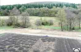 Vanzare casa in Faget, 400 mp utili cu 7516 mp teren. Semifinisat!