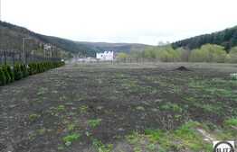 Vanzare casa in Faget, 400 mp utili cu 7516 mp teren. Semifinisat!