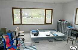 Vanzare casa in Faget, 400 mp utili cu 7516 mp teren. Semifinisat!