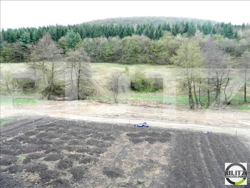 Casa de vânzare 1 camera Făget - 18958CV | BLITZ Cluj-Napoca | Poza13