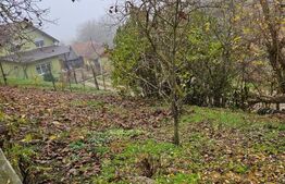 Casa la rosu 91 mp utili, 976 mp teren, in Luna, langa Campia Turzii