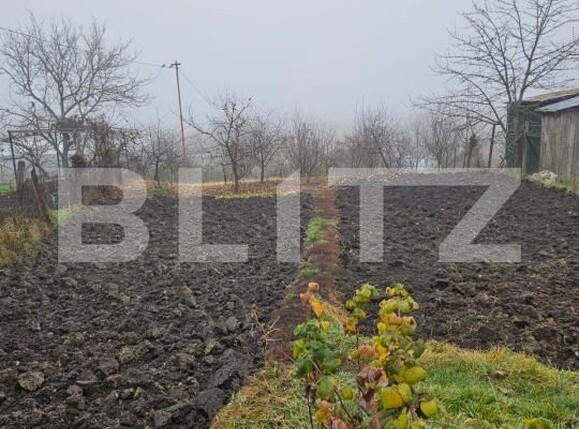 Casa de vânzare 4 camere Luna - 189595CV | BLITZ Cluj-Napoca | Poza8