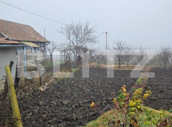 Casa de vânzare 4 camere Luna - 189595CV | BLITZ Cluj-Napoca | Poza10