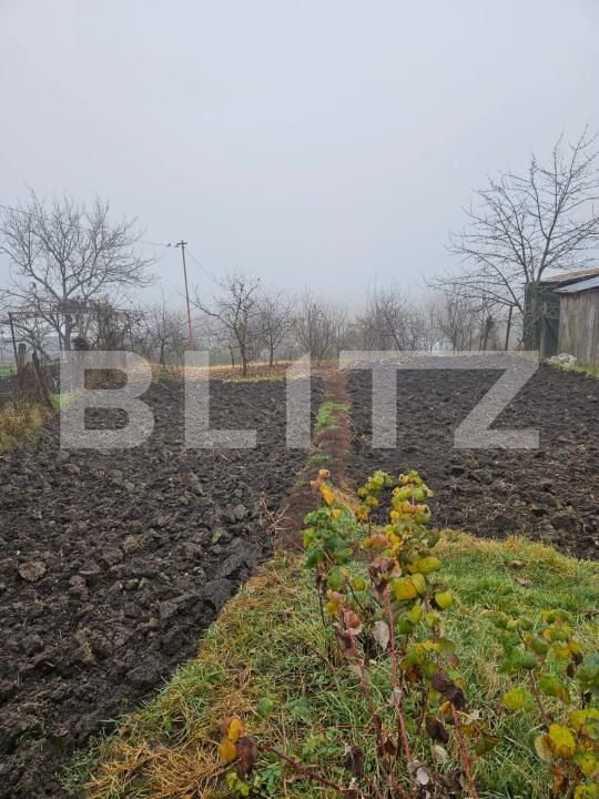 Casa de vânzare 4 camere Luna - 189595CV | BLITZ Cluj-Napoca | Poza8