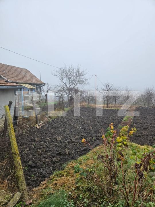 Casa de vânzare 4 camere Luna - 189595CV | BLITZ Cluj-Napoca | Poza10